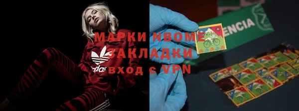 сатива Осташков